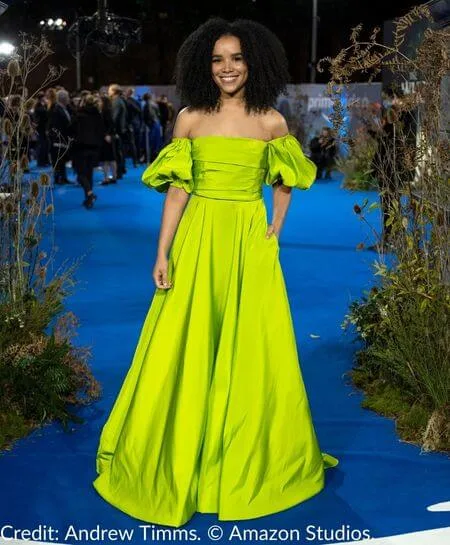 Zoë Robins, who plays Nynaeve al’Meara, attends the premiere of The Wheel of Time on the blue carpet, wearing an elegant apple-green gown with puffed sleeves.